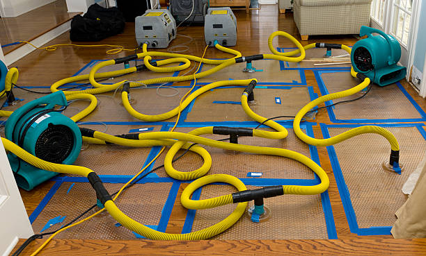 Professional Crawl Space Water Removal technician working in Covington, KY